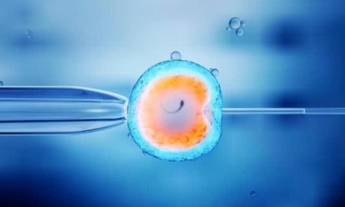 菏泽52岁试管助孕-做试管婴儿生男孩的机会大吗？试管婴儿胚胎移植后需要多少天才能产下胚胎？