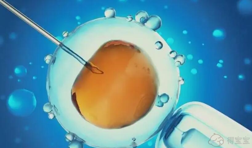 台州借卵试管助孕哪里找：郑州哪里可以用试管婴儿三期技术选择男孩或女孩来怀孕？