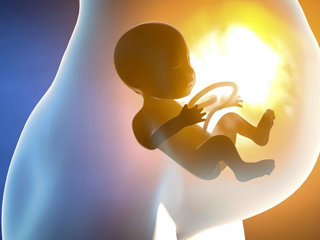 昆明助孕男孩网：对于试管婴儿的儿子来说，是不是所有的胚胎都是优质的？