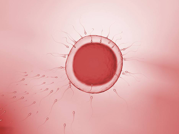 昆明合法供卵自怀-AmH值为0.14时，表明卵巢早衰，此时难以自然怀孕。