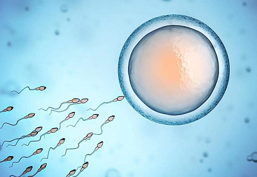 赣州捐卵：在泰国可以进行捐赠精子的试管婴儿吗？