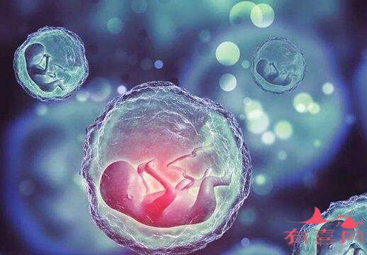 江门助孕机构群：有可能在染色体易位中寻找到好的胚胎吗？