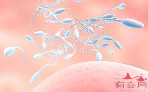 惠州借卵试管助孕包生男孩多少钱：对接受试管婴儿的男性进行支原体检测。